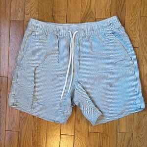 J. Crew Green and White Searsucker Swim Trunks